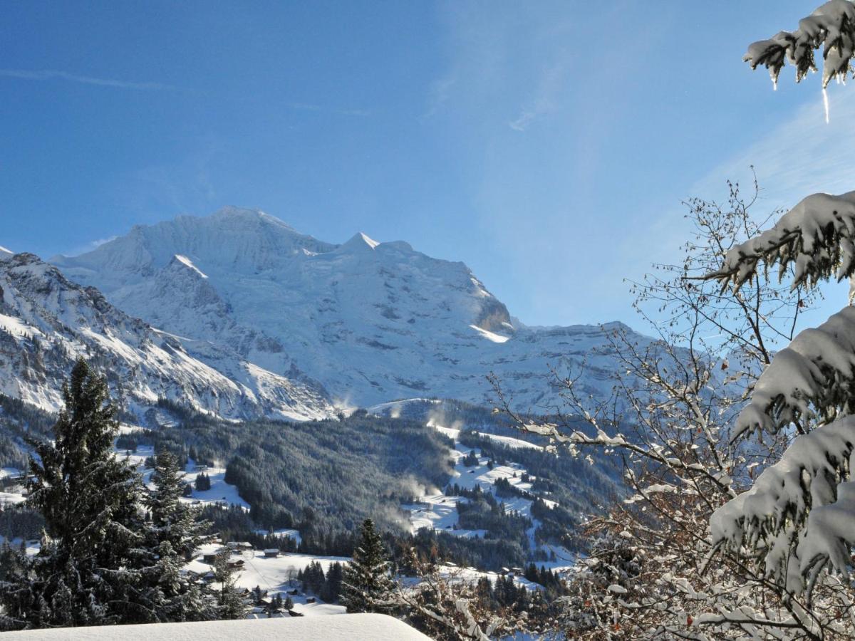 Apartment Rose Apt- Y By Interhome Wengen Bagian luar foto